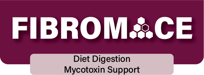 Fibromace — Diet Digestion, Mycotoxin Support